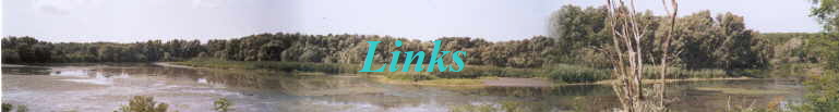 Links 